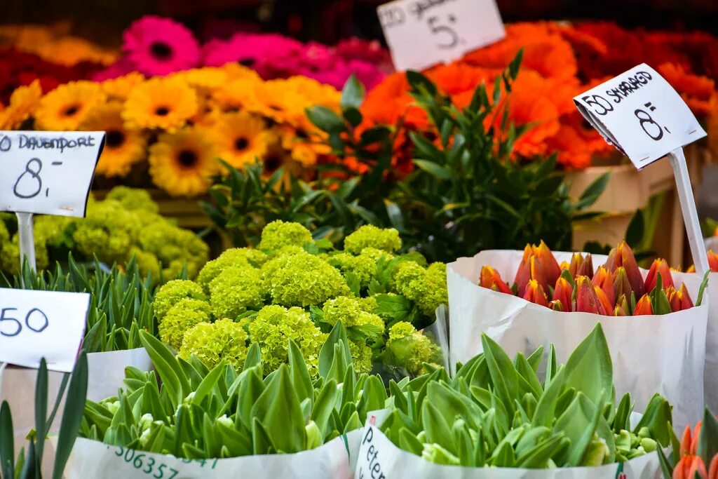 Новый цветочный рынок. Цветы Голландии. Рынок цветов. Цветочный рынок в Голландии. Голландские рынки цветов.