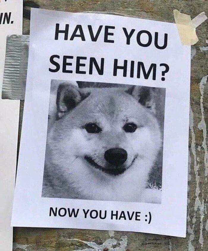 Have you seen my keys