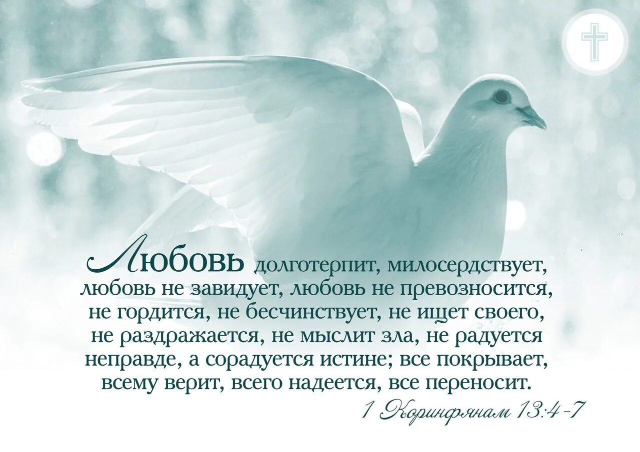 Всему верит всего надеется все переносит