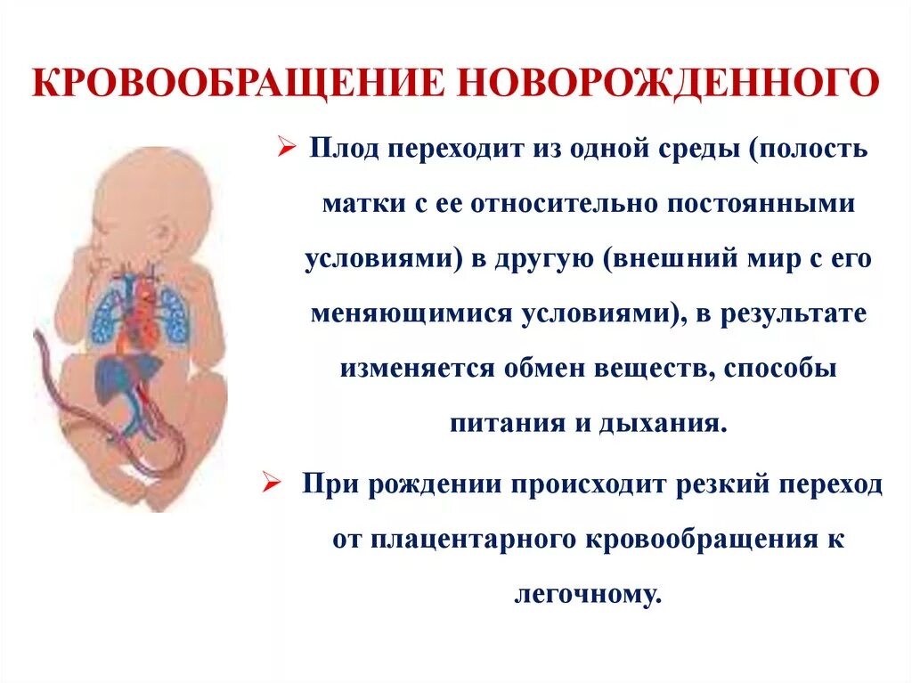 Эритродиерез