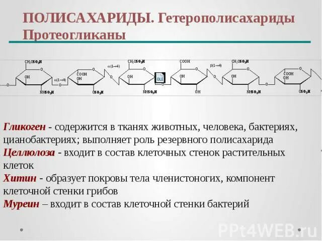 Полисахариды что это простыми словами. Реакции полисахаридов. химические свойства полисахаридов. полисахариды это в химии. полисахариды презентация.