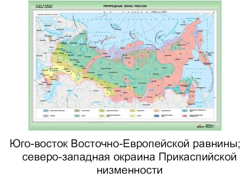 Карта природных зон России. Природные зоны Восточно европейской. Природные зоны Восточной Европы. Карта природных зон Европы.