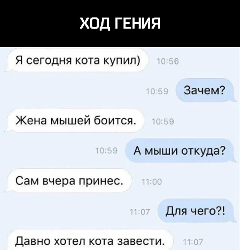 Ход гения. Гениальный ход гения Мем. А мыши откуда? Я принес. Зачем? Давно хотел кота завести.