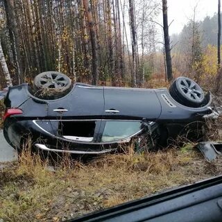Пробить дтп