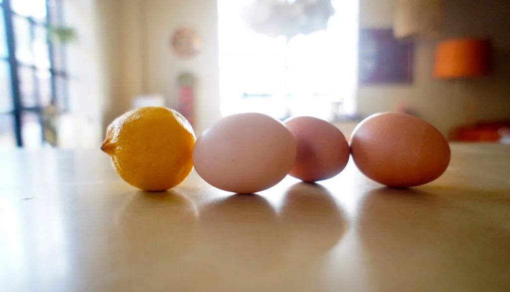 Маска из желтка и лимона. Яйцо в лимонном соке. Маска для лица лимон яйцо желток. Яйцо и лимон. Лимонный кот на желтках видео.