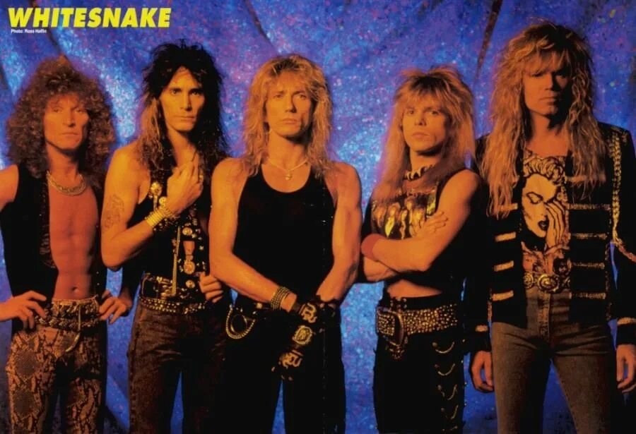 Whitesnake here go