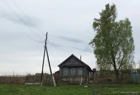 Погода в астрадамовке