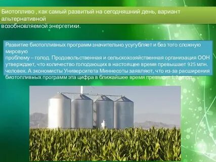 Продовольственная и энергетическая проблема