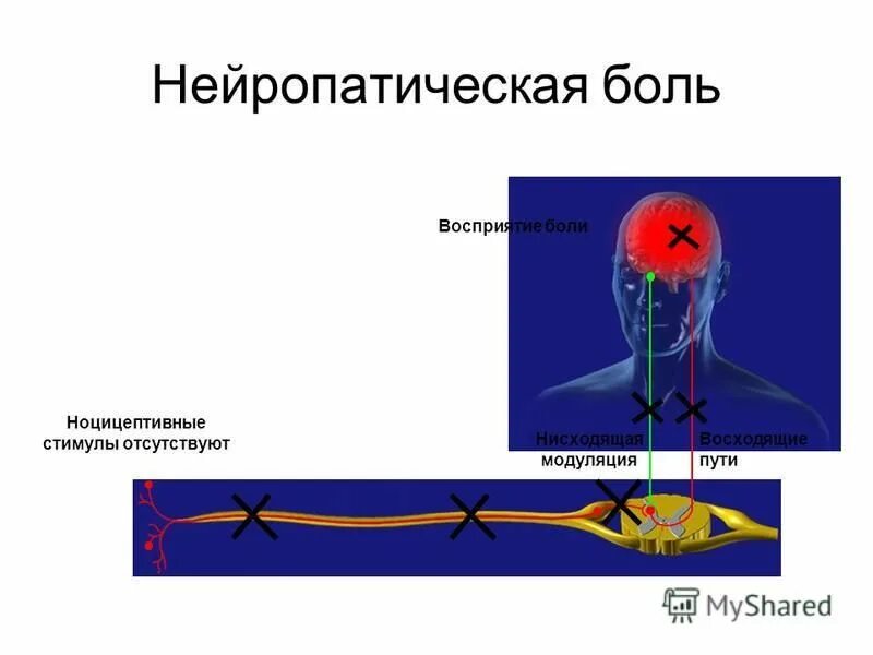 Путь воспринимать