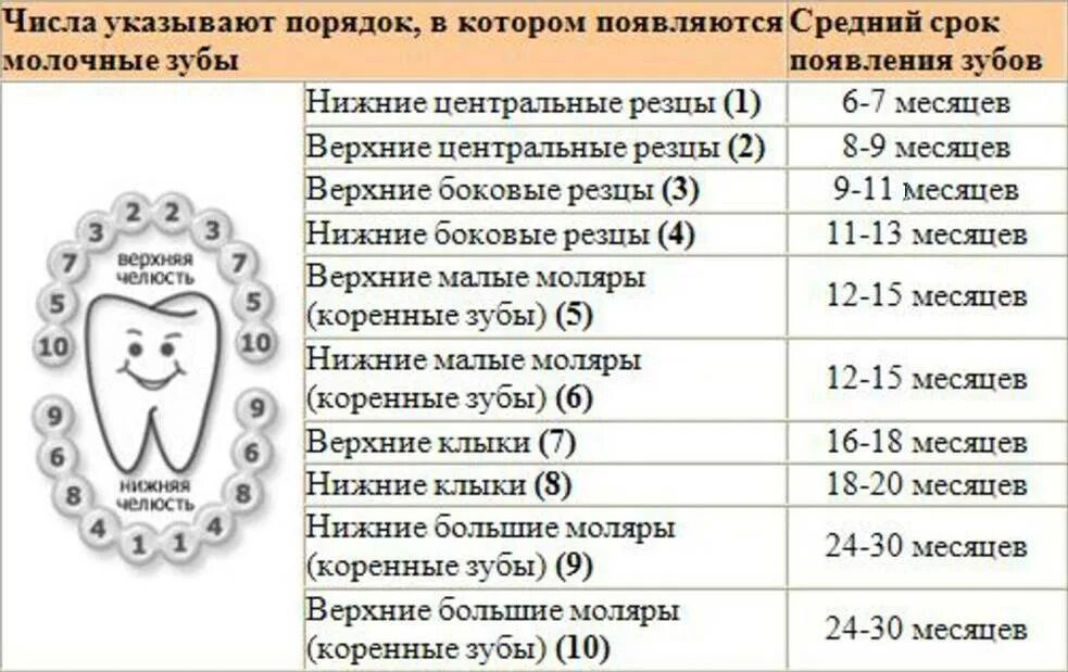 Схема вылезания зубов у малышей. Схема прорезывания молочных зубов у детей до 2 лет. Поочередность прорезывания молочных зубов у детей. Схема вылезания зубов у ребенка молочных.