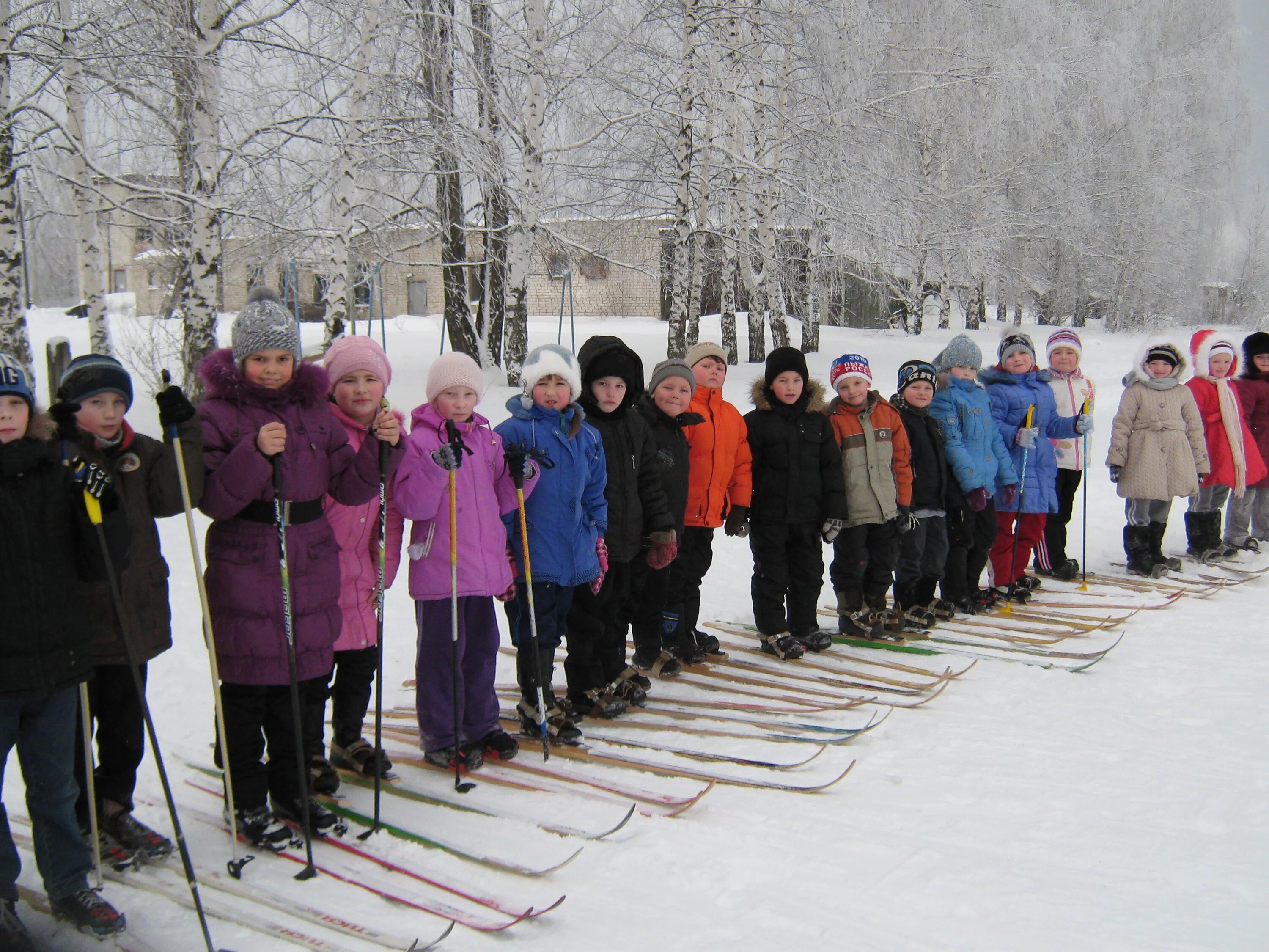 Лыжные уроки в школе. Школьники на лыжах. Урок физкультуры на лыжах. Школьники катаются на лыжах. Урок по лыжам.