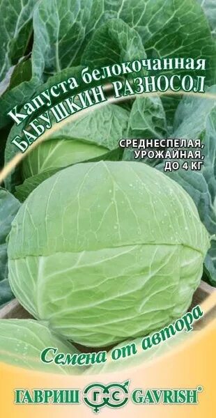 Капуста б/к белорусская 455. Сорта поздней капусты для хранения. Капуста морозко. Сорта белокочанной капусты для засолки и квашения. Капуста для засолки семена.