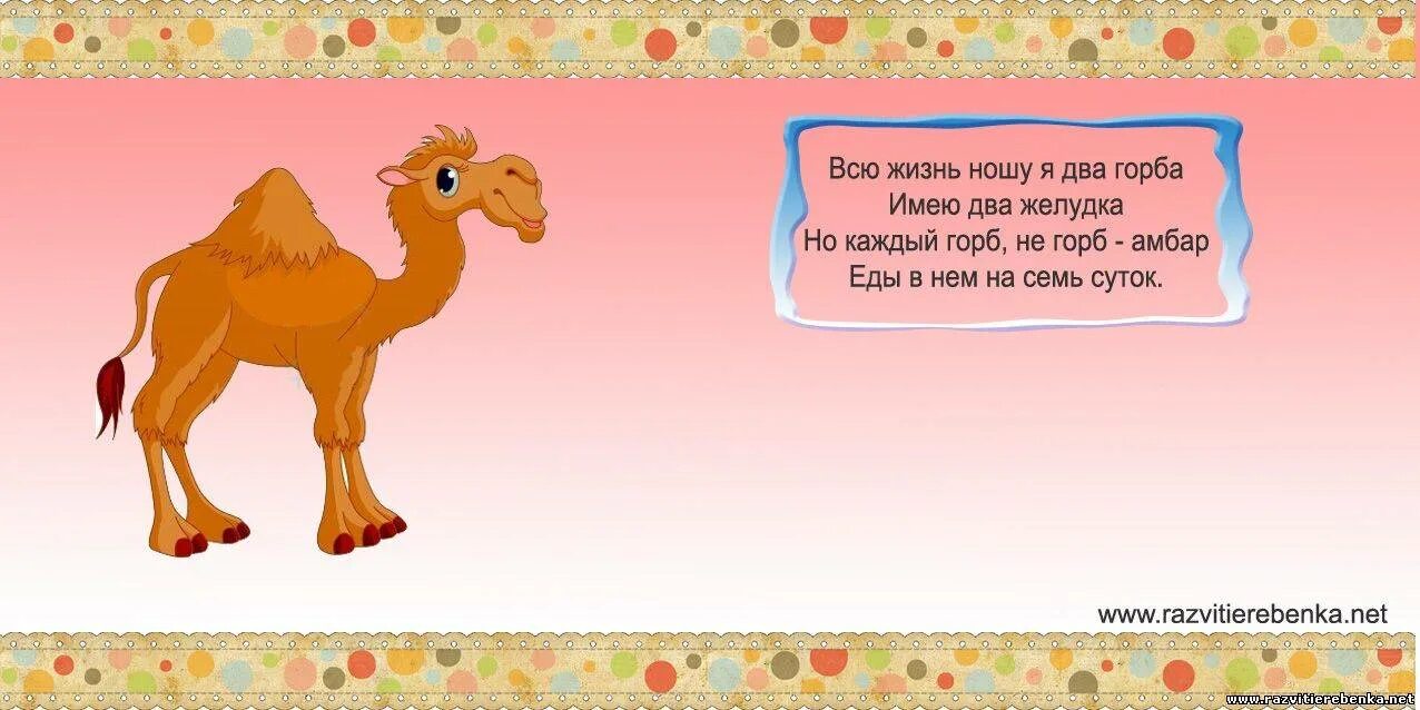 Загадки сложные загадки. Загадка про верблюда для дошкольников. Загадки о животных. Стишок про верблюда. Верблюд рифма.
