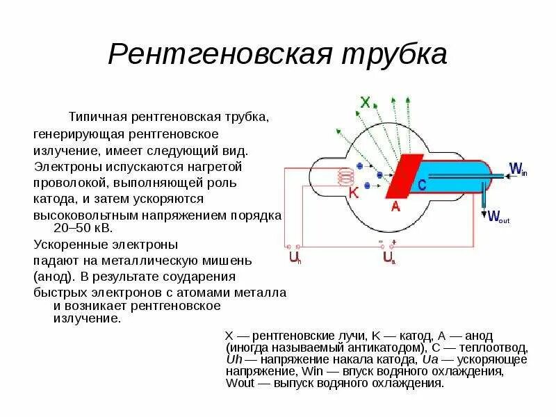 Прочитайте перечень понятий рентгеновские лучи давление света