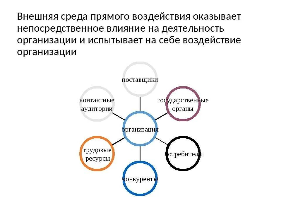 Основное влияние на организацию оказывают