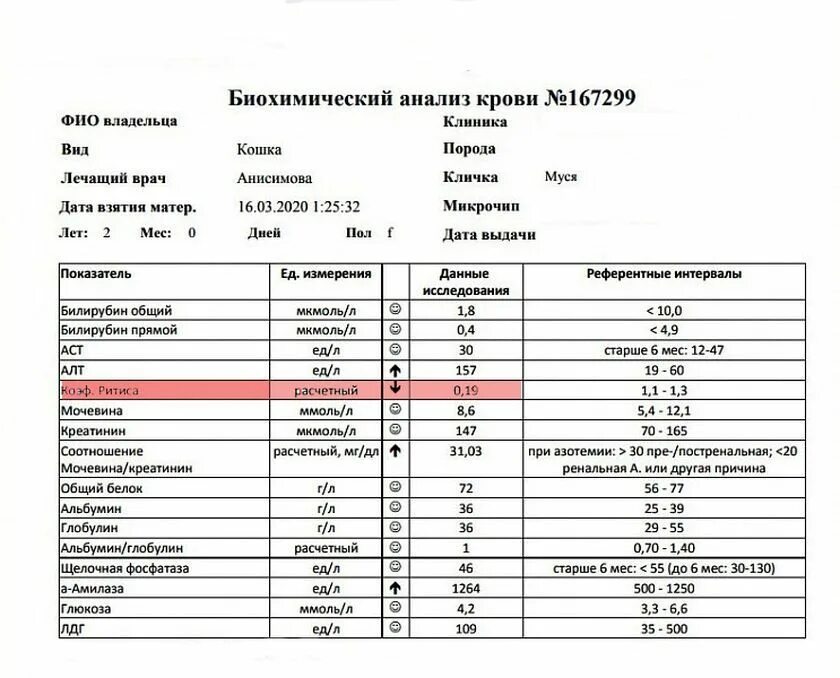 Как посчитать коэффициент ритиса. Коэф ритиса у кошек. коэффициент ритиса у собак. анализ на эпителий кошки расшифровка. асат у кошки 45.