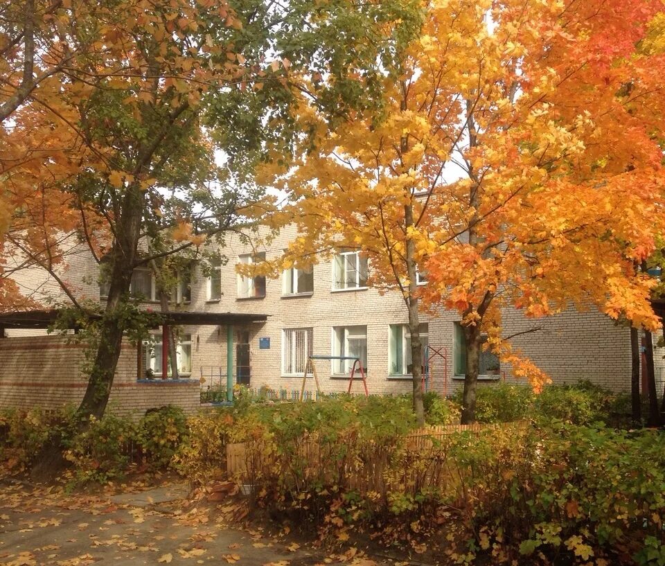 Доу 25 дубна. Садики дубна. Детский сад сказка дубна. Доу 25 золотой ключик дубна фотогалерея. Доу дубна.