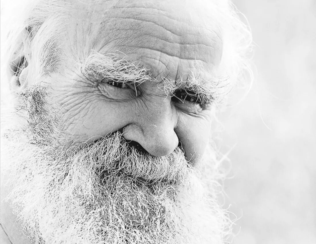 Дед деда дедуля. Дед Пихто. Дед с бородой. Мудрый дедушка. Мудрый старик.
