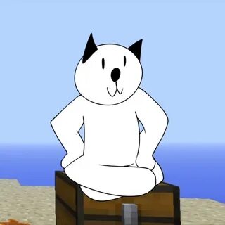 Кот алекс