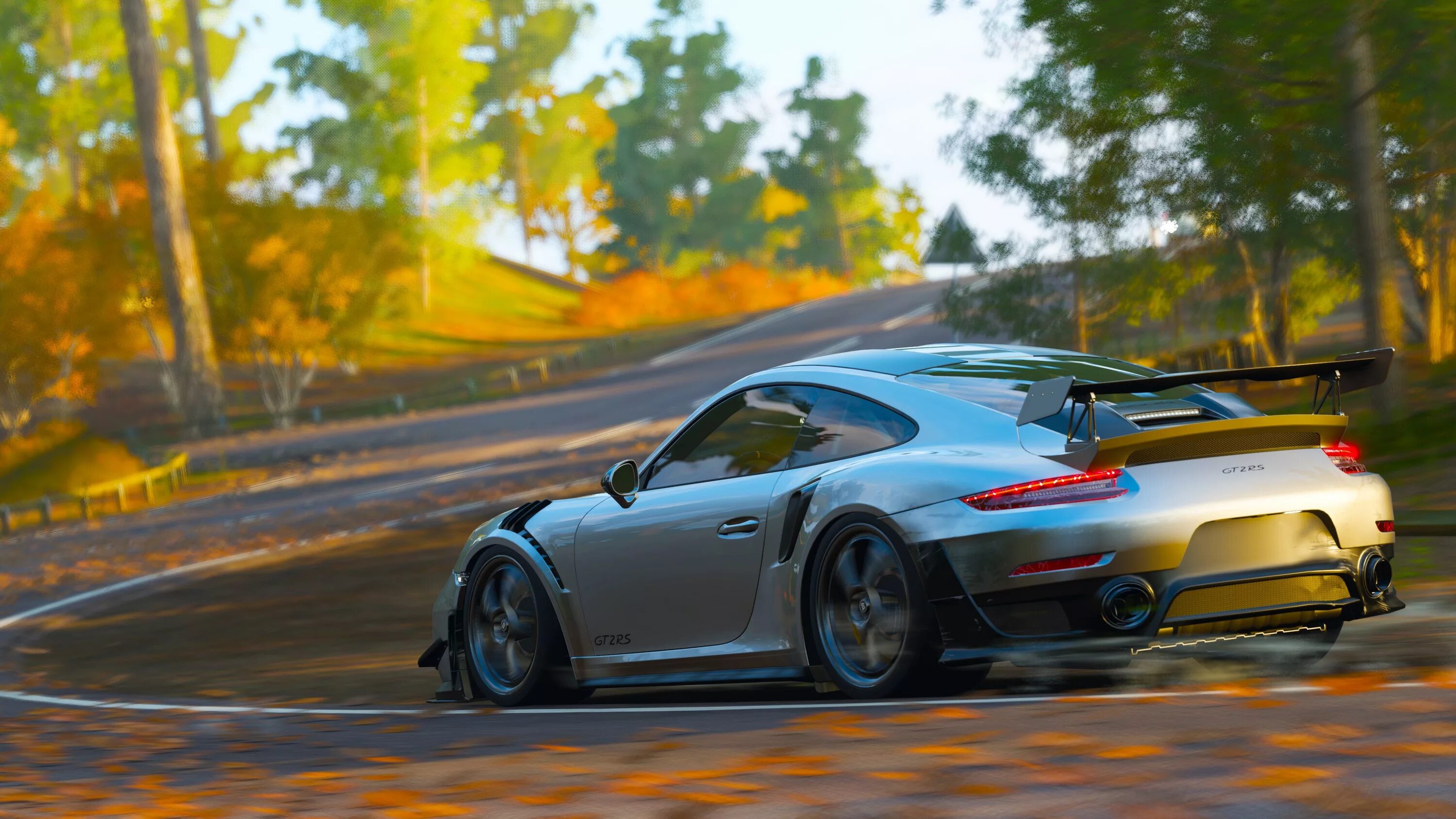 Porsche 911 gt2. Porsche 911 gt3 Forza Horizon 4. Forza Horizon Porsche 911 gt2 RS. Forza Horizon 5 Porsche.