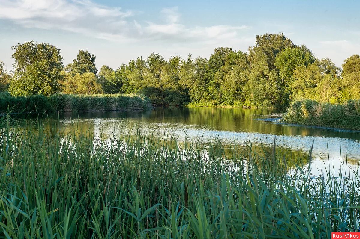 байгора липецкая область храм. село княжая байгора грязинский район. байгора липецк. церковь в байгора грязинский район. байгора липецкая.