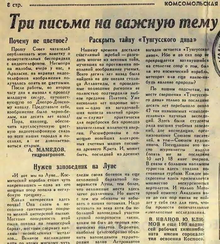 интересные факты о кошках. интересные статьи события. интересные факты о войне. исторические факты. удивительные исторические факты.