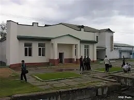 Урульга забайкальский. Урульга забайкальский