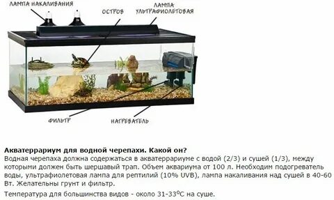Сколько литров менять в аквариуме