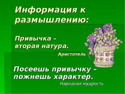 Привычка второе