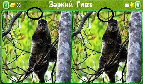Зоркий глаз картинки. Антивирус зоркий глаз. Правила игры зоркий глаз. Озеро зоркий глаз. Зоркий глаз.
