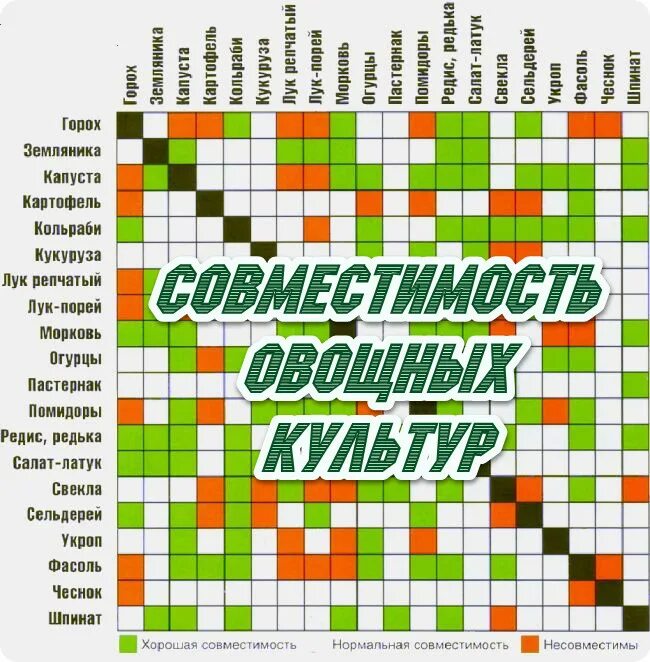 Соседство овощей на грядках таблица совместимости растений. Совместимость растений. Таблица совместимости растений на грядке. Совместимость овощей на грядке. Совместимость растений на грядке.