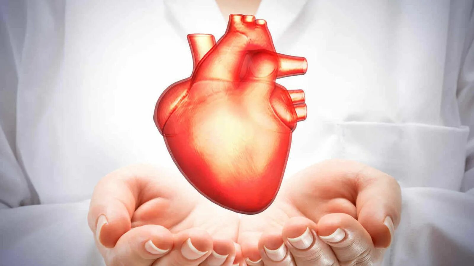 Сердце в руках. Сердце медицина. Сердце кардиология. Патология картинки
