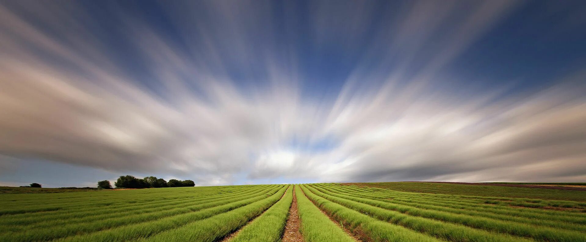 Picture land. Picture land