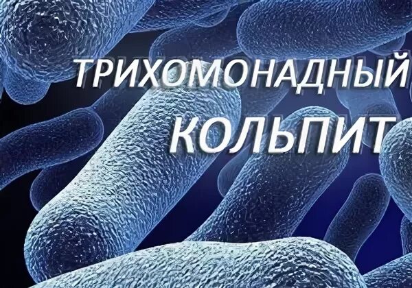 Лечение возрастного кольпита. Трихомональны йкольпит. Трихомонадный трихомонадный кольпит. Трихомонадный кольпит таблетки.