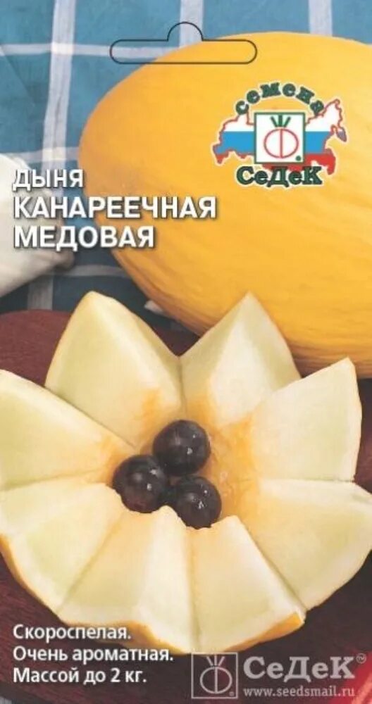 Дыня птичье молоко. Седек дыня канареечная медовая. дыня ранняя сладкая. дыня ранняя сладкая седек.