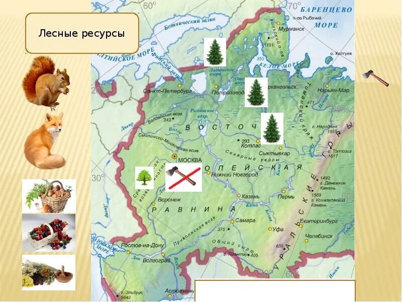 Проблемы использования природных ресурсов восточно европейской равнины. Природные ресурсы восточно-европейской равнины карта. полезные ископаемые восточно-европейской равнины карта. лесные ресурсы восточно европейской равнины. полезные ресурсы восточно европейской равнины.