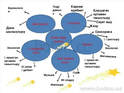 Тәрбие тал бесіктен эссе
