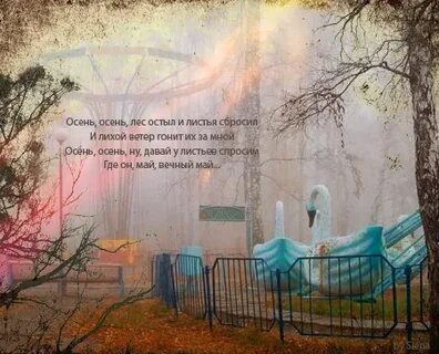 Осень осень листья сбросит текст