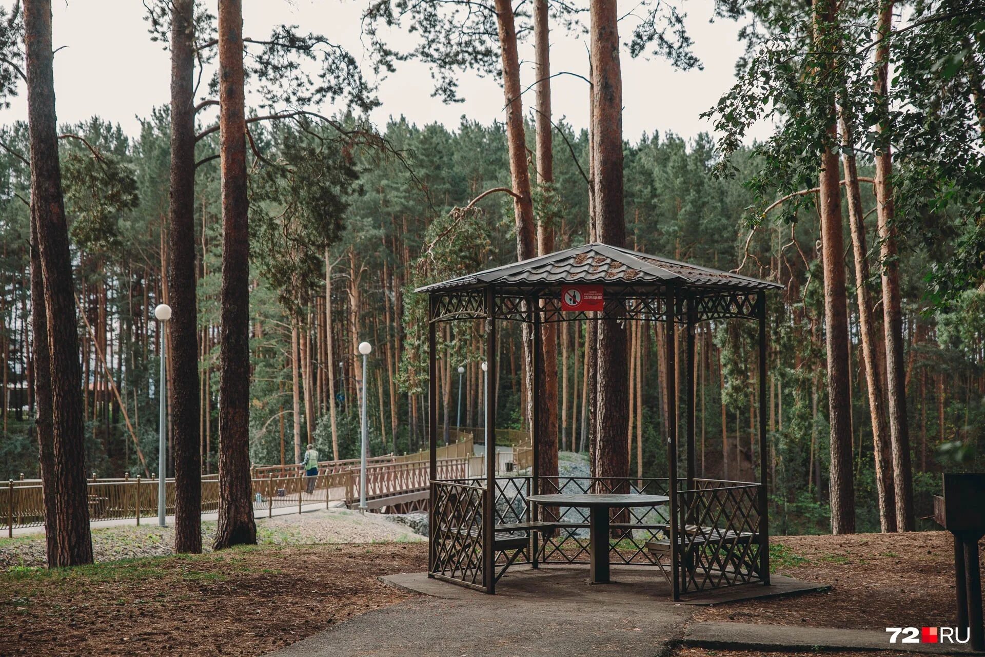 гилёвская роща тюмень. тюмень улица гилевская роща 4 2 банивам. гилевская роща мост тюмень. парк гилевская роща. гилевская роща тюмень.