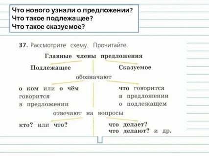 Подлежащее и сказуемое в итальянском
