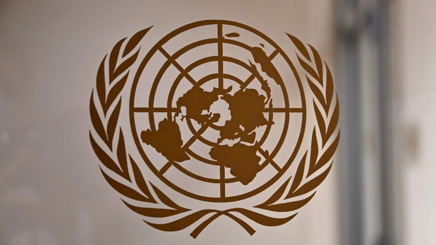 Оон о терроризме. Эмблема ООН. Египет ООН. ООН Россия. Совбез ООН.