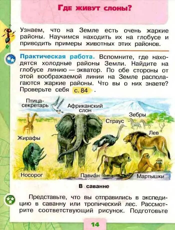 Окружающий мир куда. Учебник 1 класс окружающий мир плешаков слоны. окружающий мир 1 класс плешаков учебник 2 часть где живут слоны. где живут слоны. слоны окружающий мир 1 класс.
