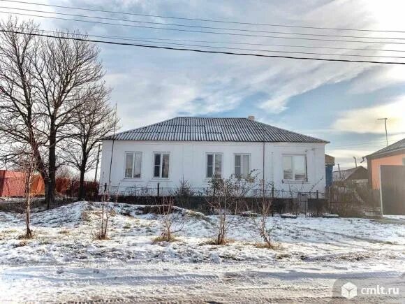 Петино улица бунакова. Село петино воронежская область фото. Петино воронежская область фото. Село петино. Петино воронежская область.