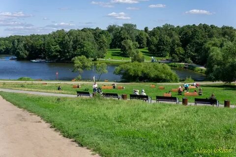 Кузьминский парк пруд