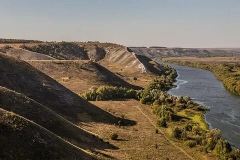 1 сторожевое воронежская область