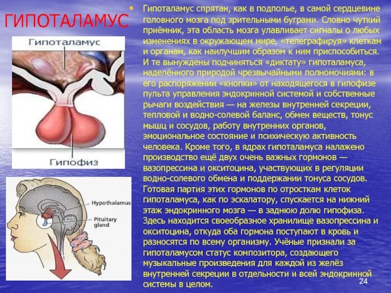 Ошибка гипоталамуса