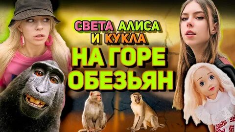 Алиса света