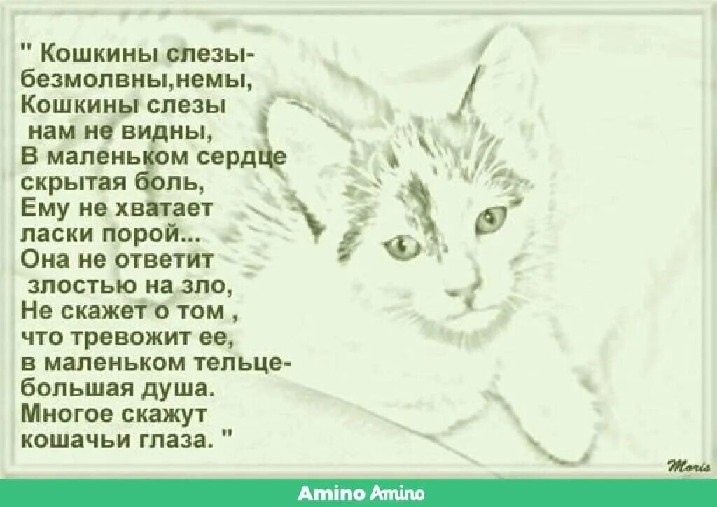 Стих про кота грустный. Грустные стихи про котов. Стихи про кошек грустные. Грустные стихи о котах. Люблю животных стих