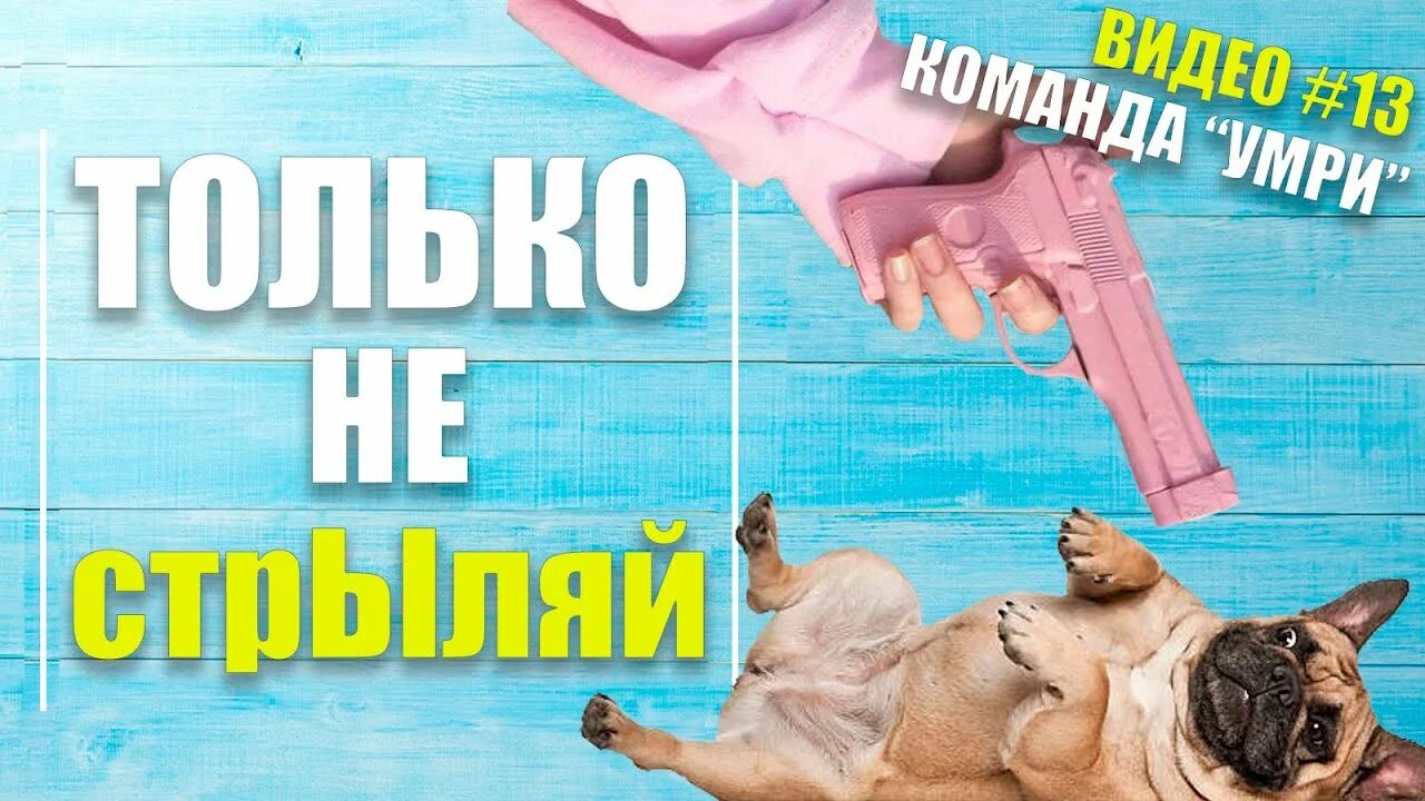 Как научить собаку команде умри. Как научить собаку команде умри
