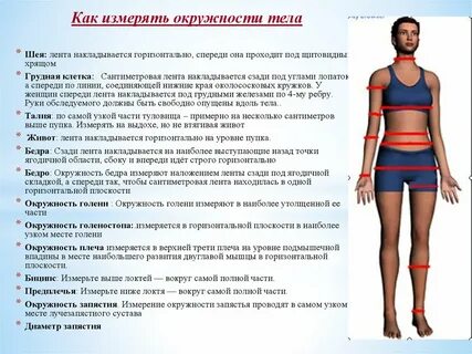 Как измерять туловище
